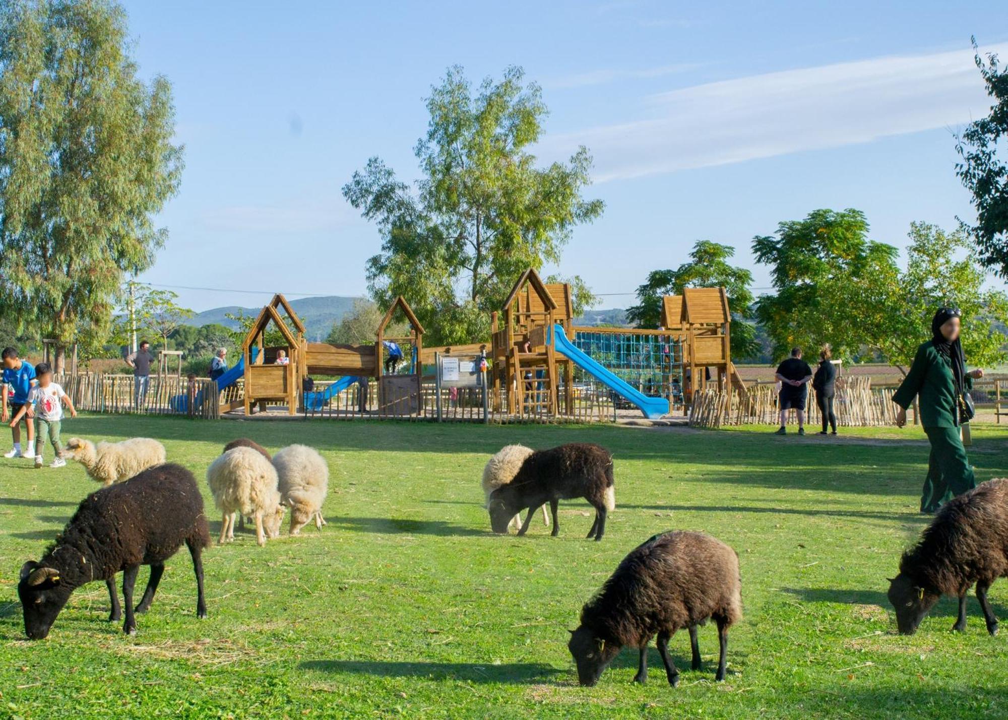 Maison Avec Piscine Location De Vacances Ferme Pedagogique Du Dolmen Le Pouget Kültér fotó